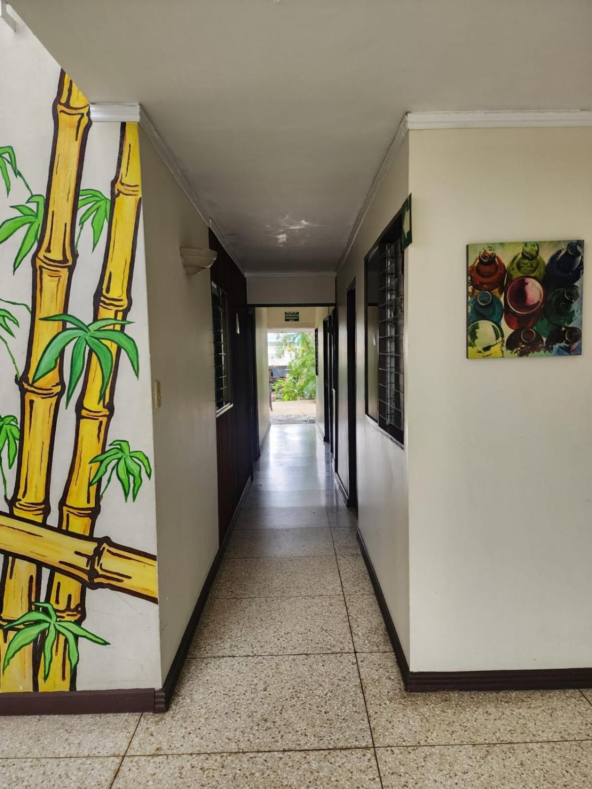 הוסטל סן חוזה Costa Rica Backpackers מראה חיצוני תמונה