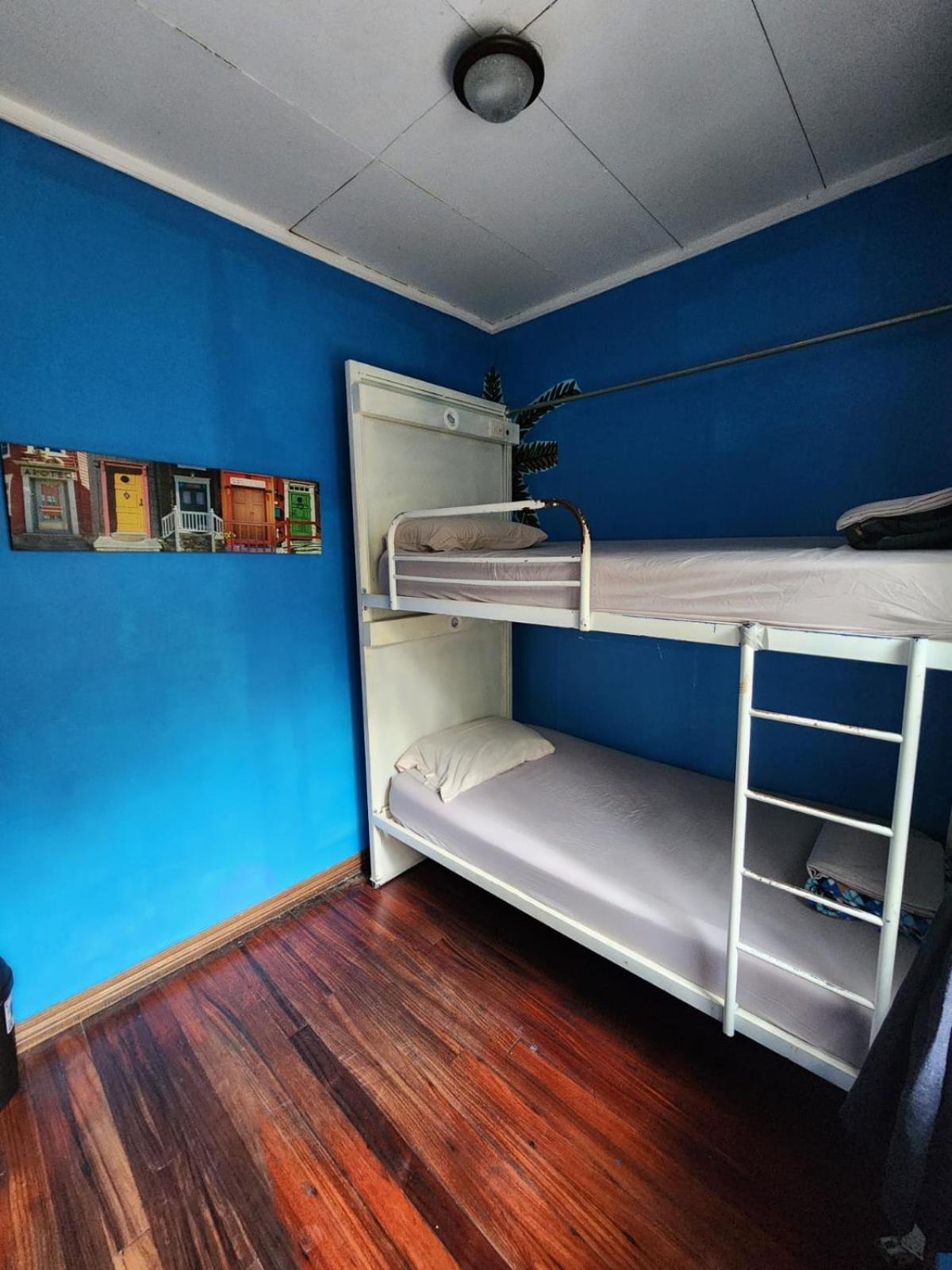 הוסטל סן חוזה Costa Rica Backpackers מראה חיצוני תמונה