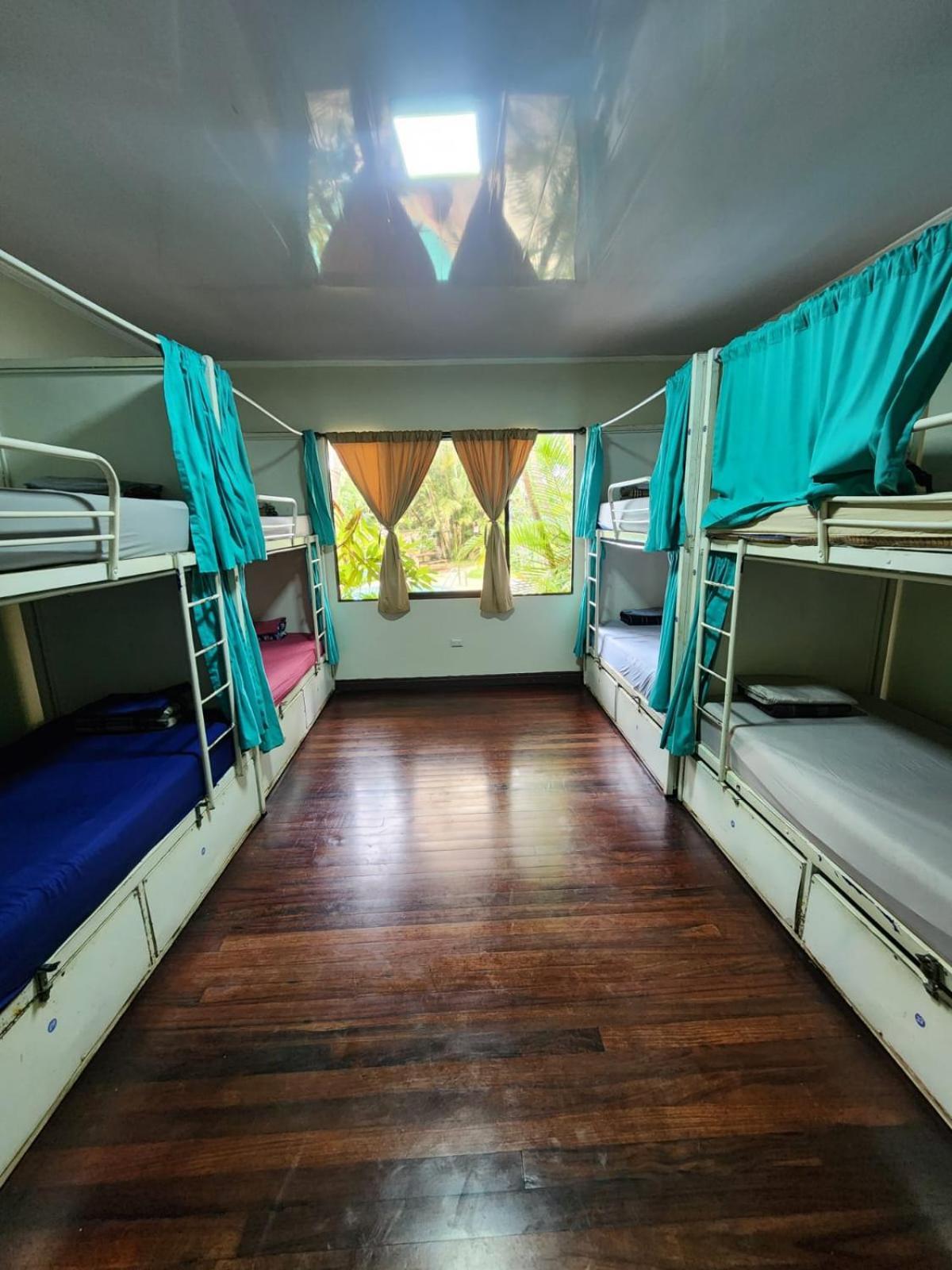 הוסטל סן חוזה Costa Rica Backpackers מראה חיצוני תמונה