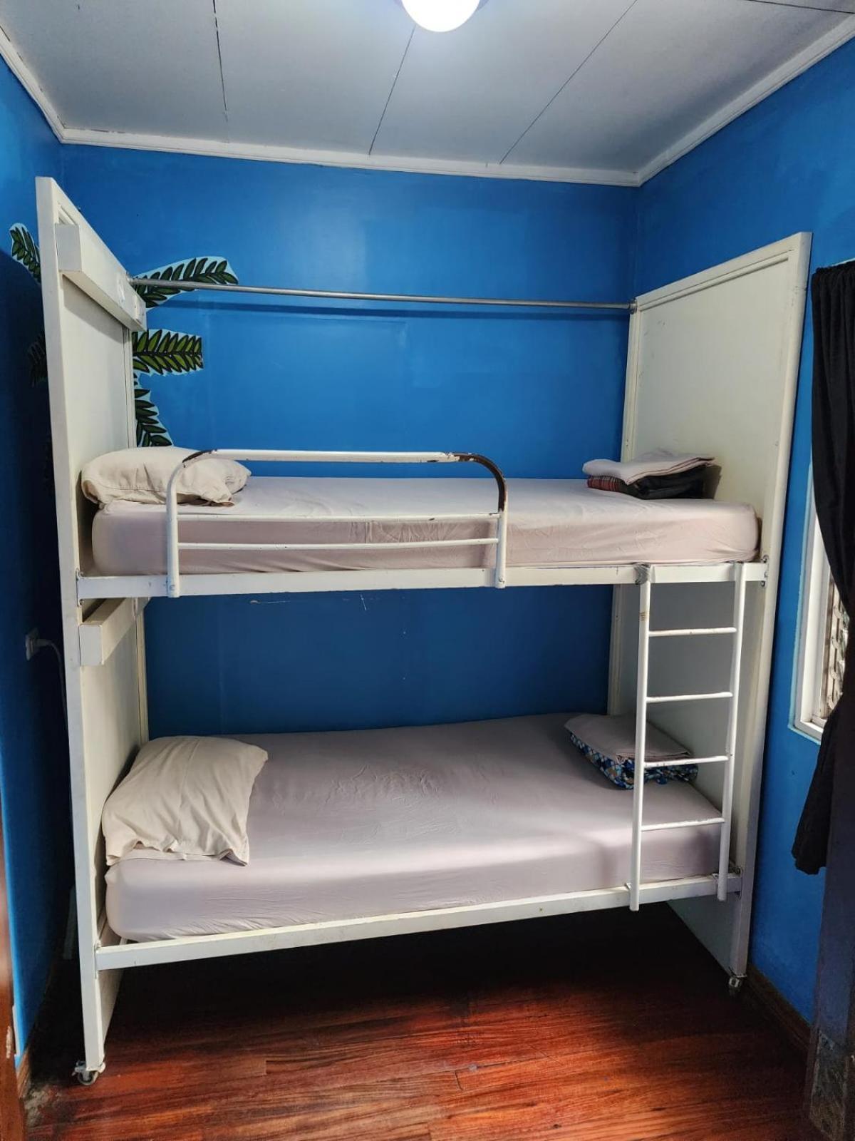 הוסטל סן חוזה Costa Rica Backpackers חדר תמונה