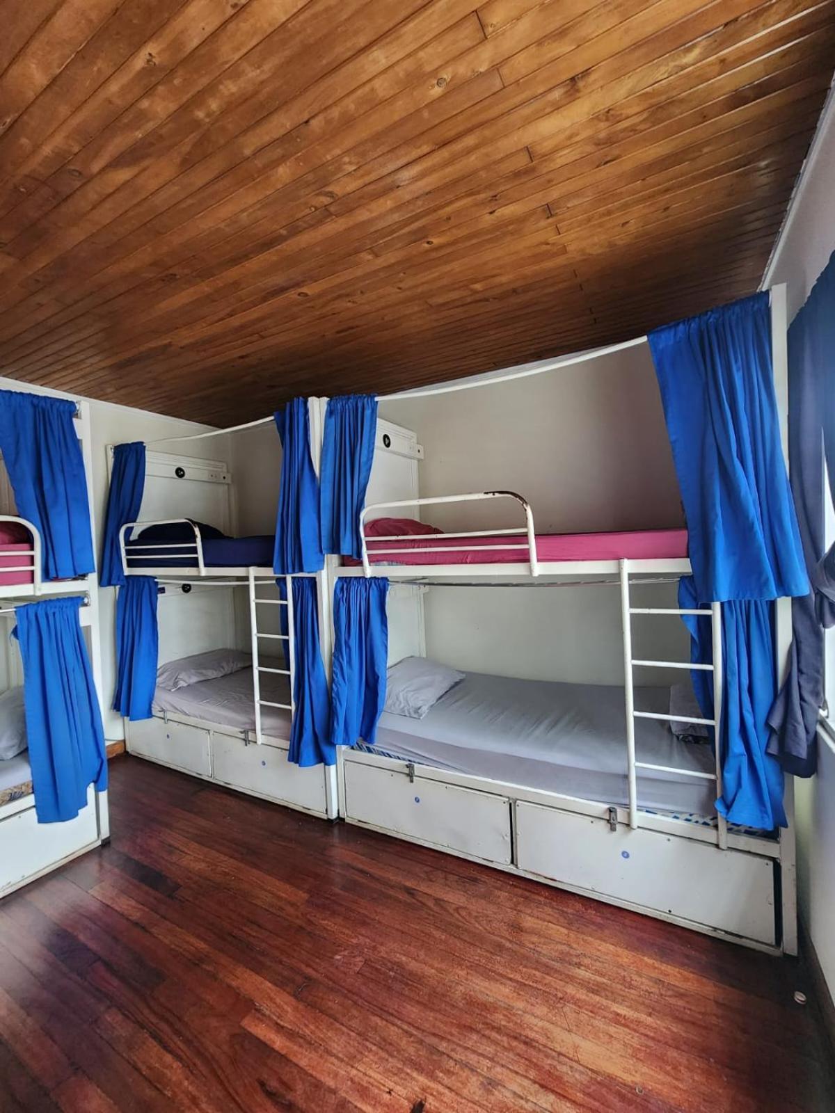 הוסטל סן חוזה Costa Rica Backpackers חדר תמונה