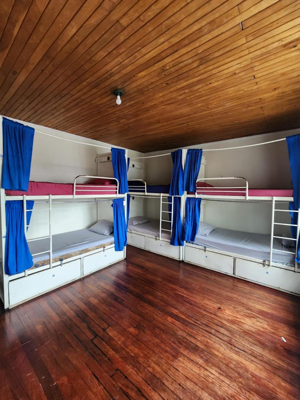 הוסטל סן חוזה Costa Rica Backpackers חדר תמונה