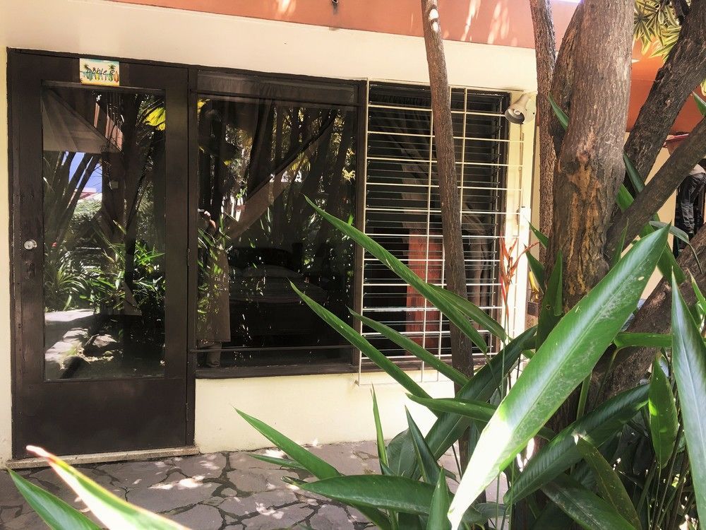 הוסטל סן חוזה Costa Rica Backpackers מראה חיצוני תמונה